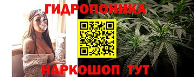 apvp Нарткала